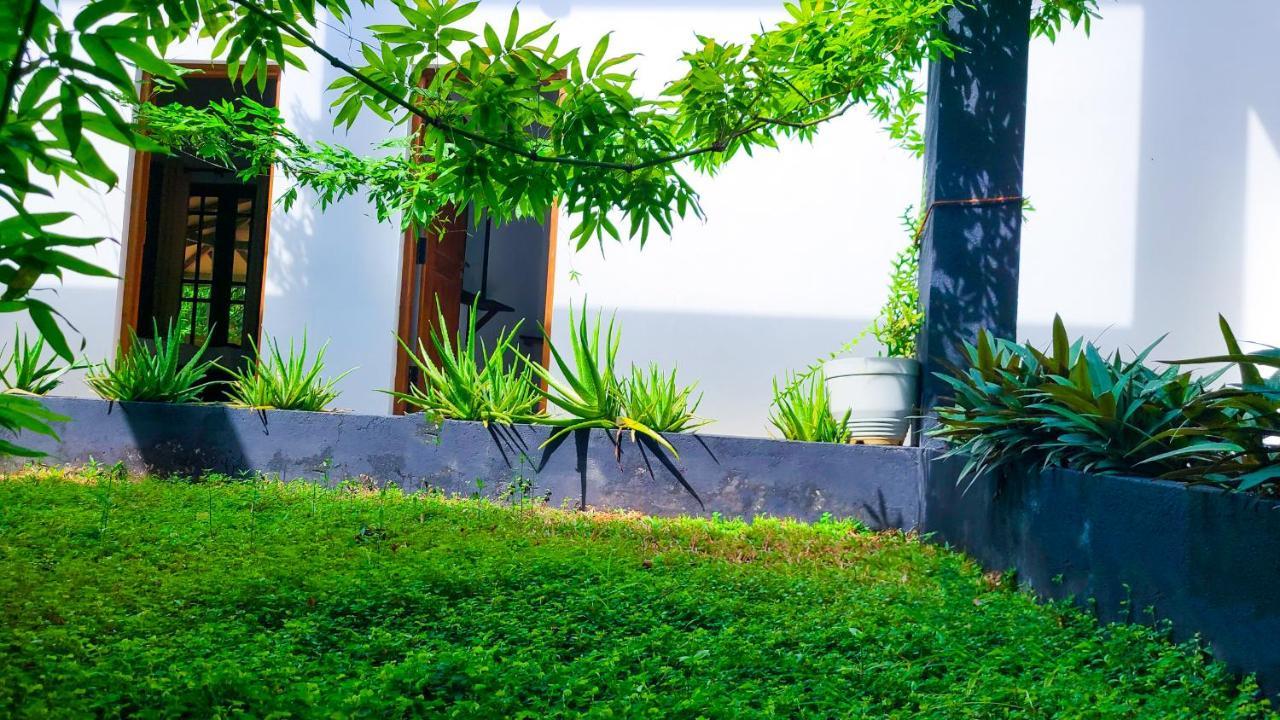 Greenville Resort And Spa Dambulla Luaran gambar